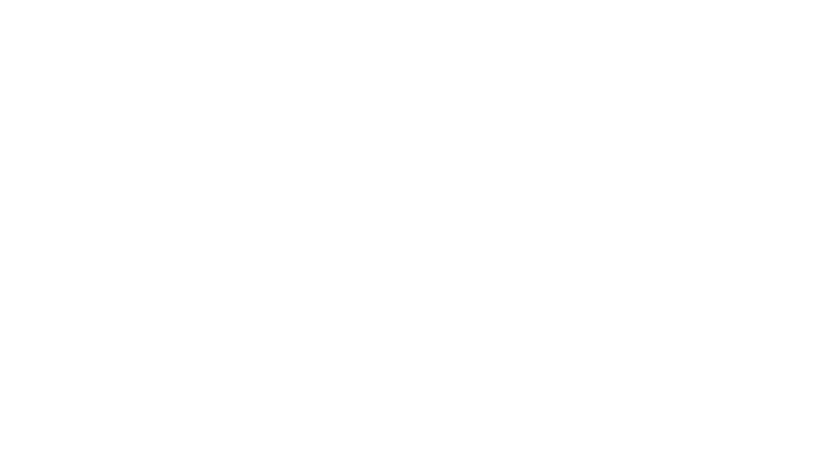 Sage Technology Partner